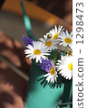 Spring Margaret 1298473