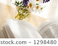Reading 1298480