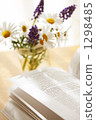 Reading 1298485