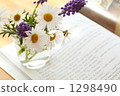 Reading 1298490