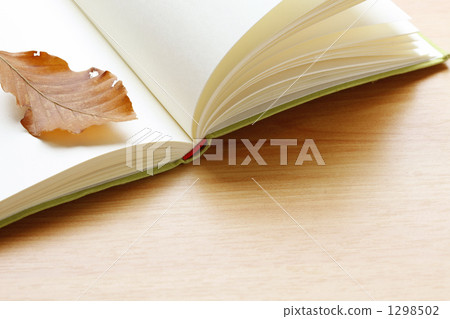 Reading Reading 1298502