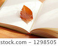 Reading 1298505