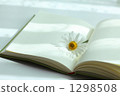 Reading 1298508