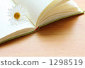 Reading 1298519