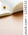 Reading 1298532