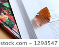 Reading 1298547