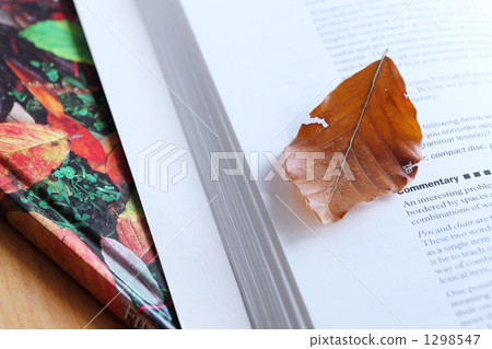 Reading Reading 1298547