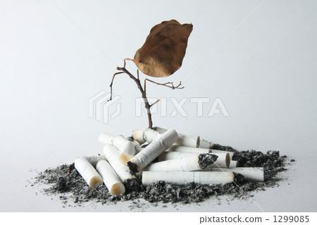 香煙和死樹 1299085