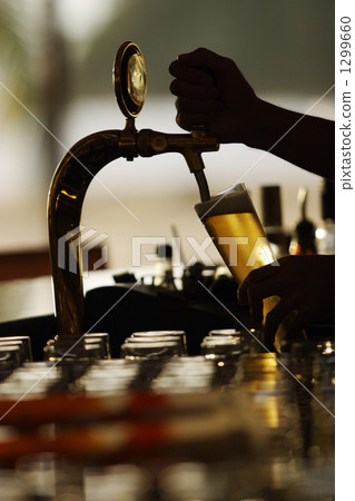 server, beer, lager 1299660