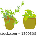 Foliage plant  1300308