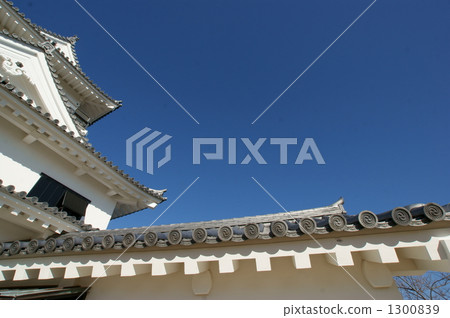 城堡塔的屋頂和藍色空間 1300839