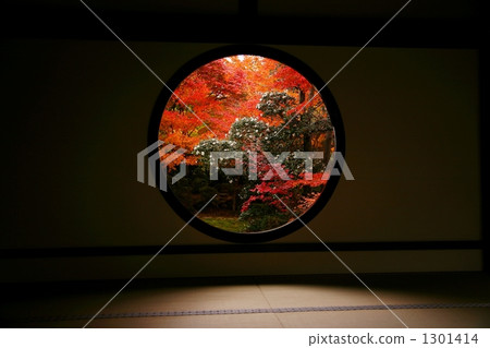 Autumn leaves of Genkoan 1301414