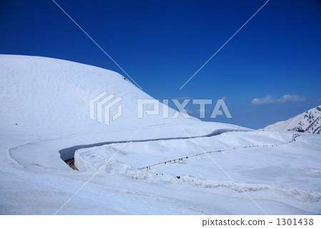 大谷的雪牆 大谷的雪牆 1301438
