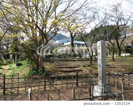 法國佛教的春天 1301524