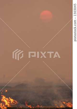 洗牌養殖 洗牌養殖 1303045