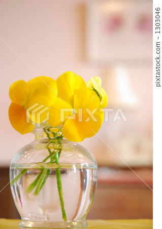 黃色蝴蝶花在客廳 黃色蝴蝶花在客廳 1303046