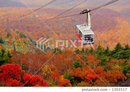 Autumn leaves of Hakkoda and ropeway 1303517
