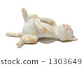 Sleeping cat 1 1303649