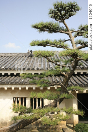 Castle tile roof 1304046