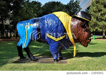 Oklahoma buffalo objects 1305041