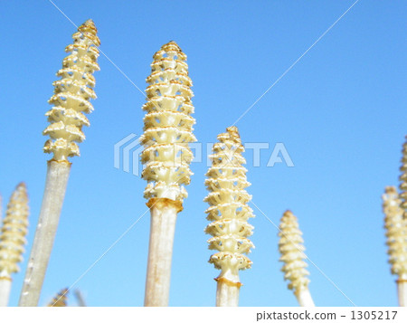 Carpenter 3 Carpenter 3 1305217