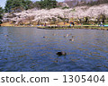 Spring Takamatsu pond 1305404