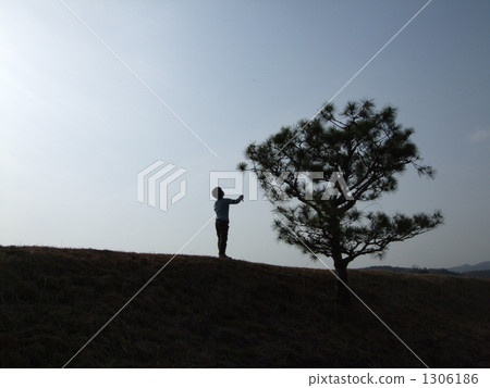 A boy looking up 1306186
