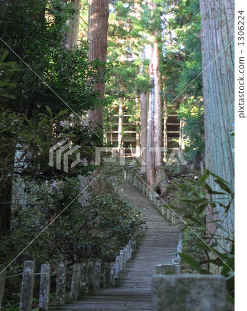 The way to Okunoin 1306224