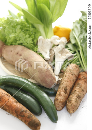 Vegetable with mud Vegetable with mud 1306299