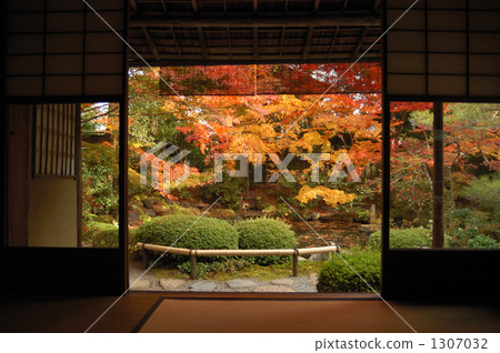 日本園林 日式花園 日本庭院 1307032