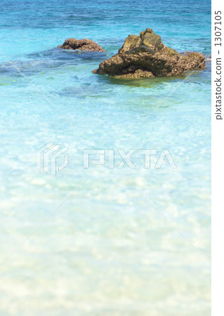 透明的大海 透明的大海 1307105