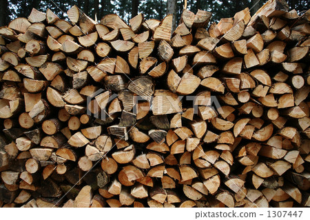 Wood image Wood image 1307447