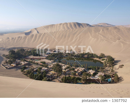 Oasis in the desert Oasis in the desert 1307702
