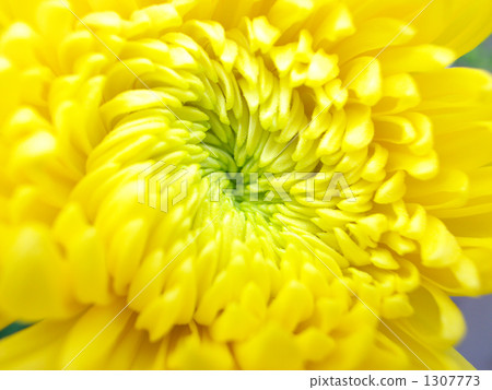 Gigantic Gigantic 1307773