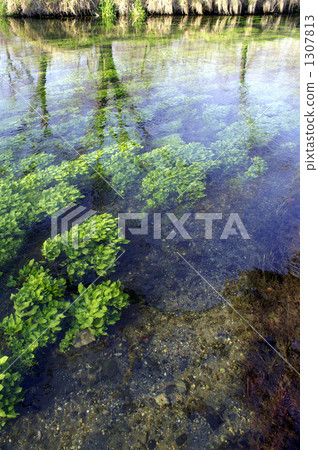 Quiet flow of Tatebawa Quiet flow of Tatebawa 1307813