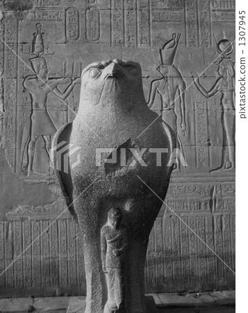 荷魯斯 荷魯斯 1307945