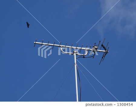 Roof with digital terrestrial antenna 1308454