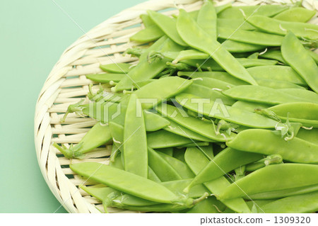 Silk sheath Silk sheath 1309320