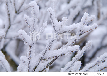 Foggy ice Foggy ice 1309514