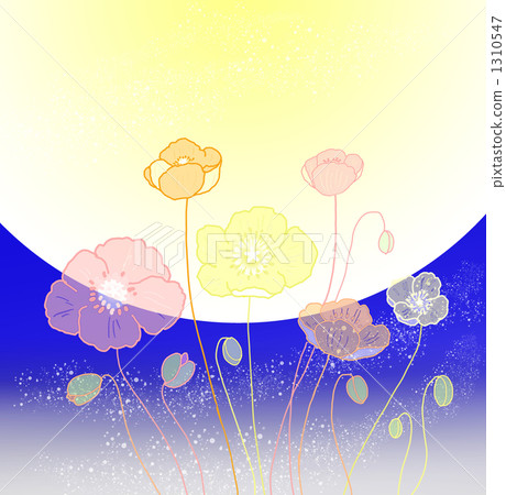 月亮和罌粟在春夜閃耀 1310547