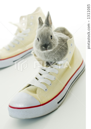 indoor, mischief, sneaker 1311085