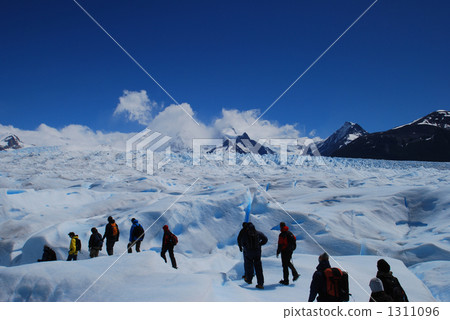 冰川灣國家公園 佩里托·莫雷諾冰川 巴塔哥尼亞 1311096