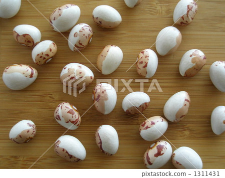 豆 豆子 虎豆 1311431