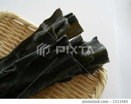 kelp, konbu, devil's apron 1311485