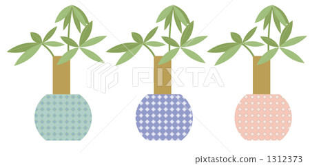 室內植物3件套·Pakira 室內植物3件套·Pakira 1312373