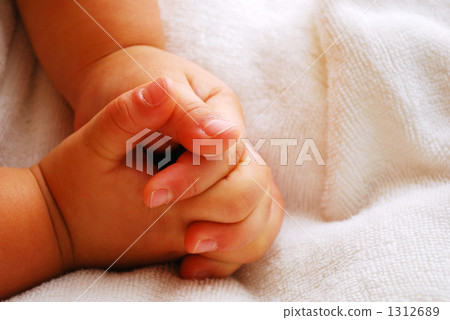 舉行夢想的手 舉行夢想的手 1312689