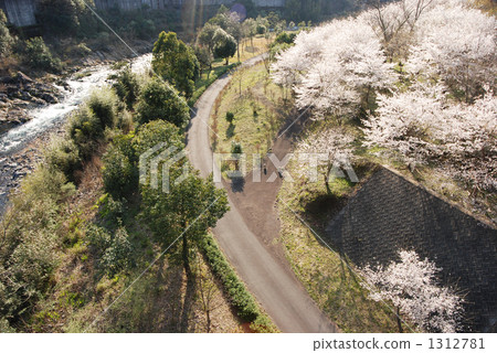 Sakurabado of Sukumo Shi Nikko Park 1312781