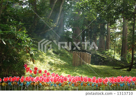 pinwheel, sacred ground, dewasanzan 1313710