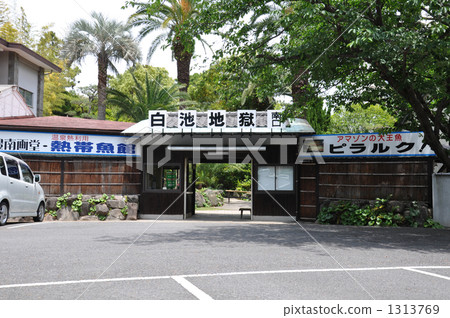 Shiraneike地獄Beppu地獄訪問 Shiraneike地獄Beppu地獄訪問 1313769