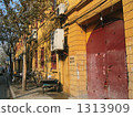 residential, roadside trees, shanghai 1313909
